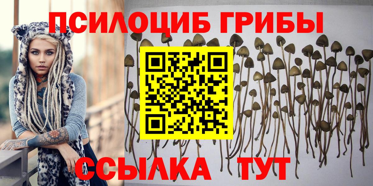 Галлюциногенные грибы GOLDEN TEACHER Минеральные Воды