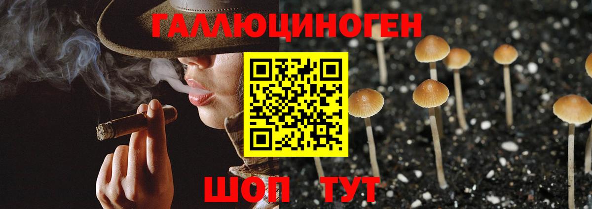 Меф   Вход с VPN  Кетамин  Минеральные Воды  Канабис  Купить 